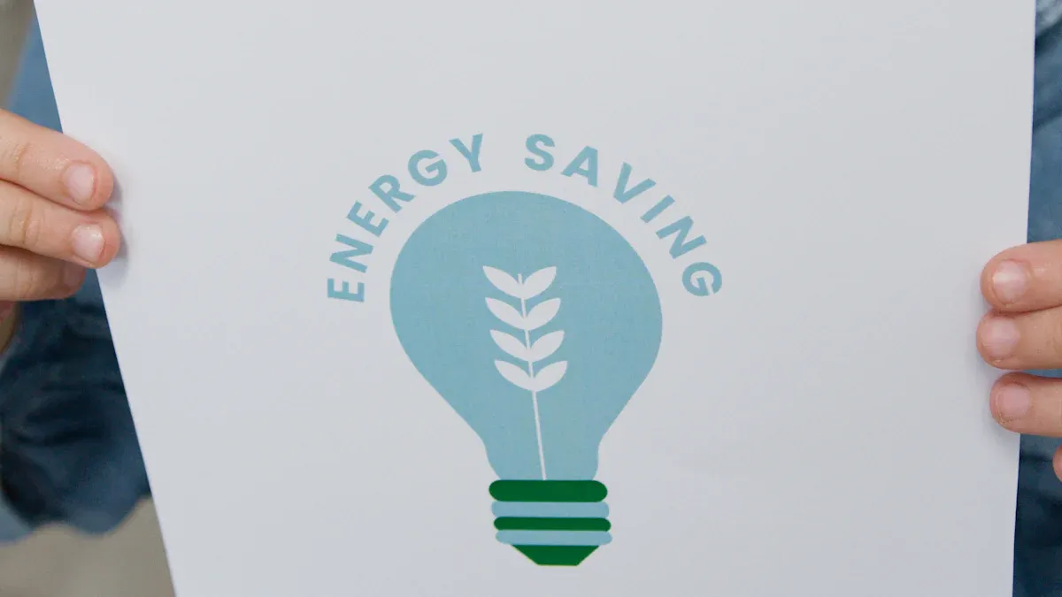 understanding earth hour