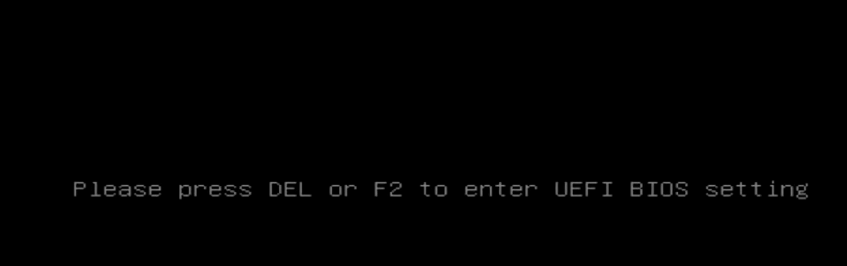 Installare Windows 11 tramite USB avviabile - Passo
