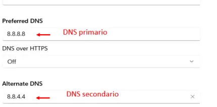 Inserisci i DNS